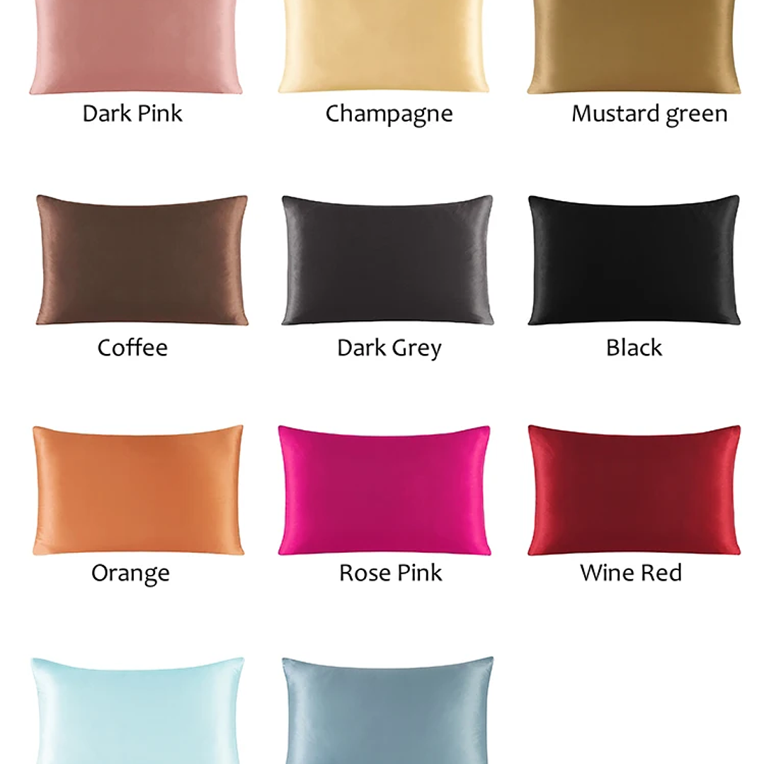 Funda de Almohada Seda de Morera | 100% Natural con Cremallera, Multicolor Queen/King 37