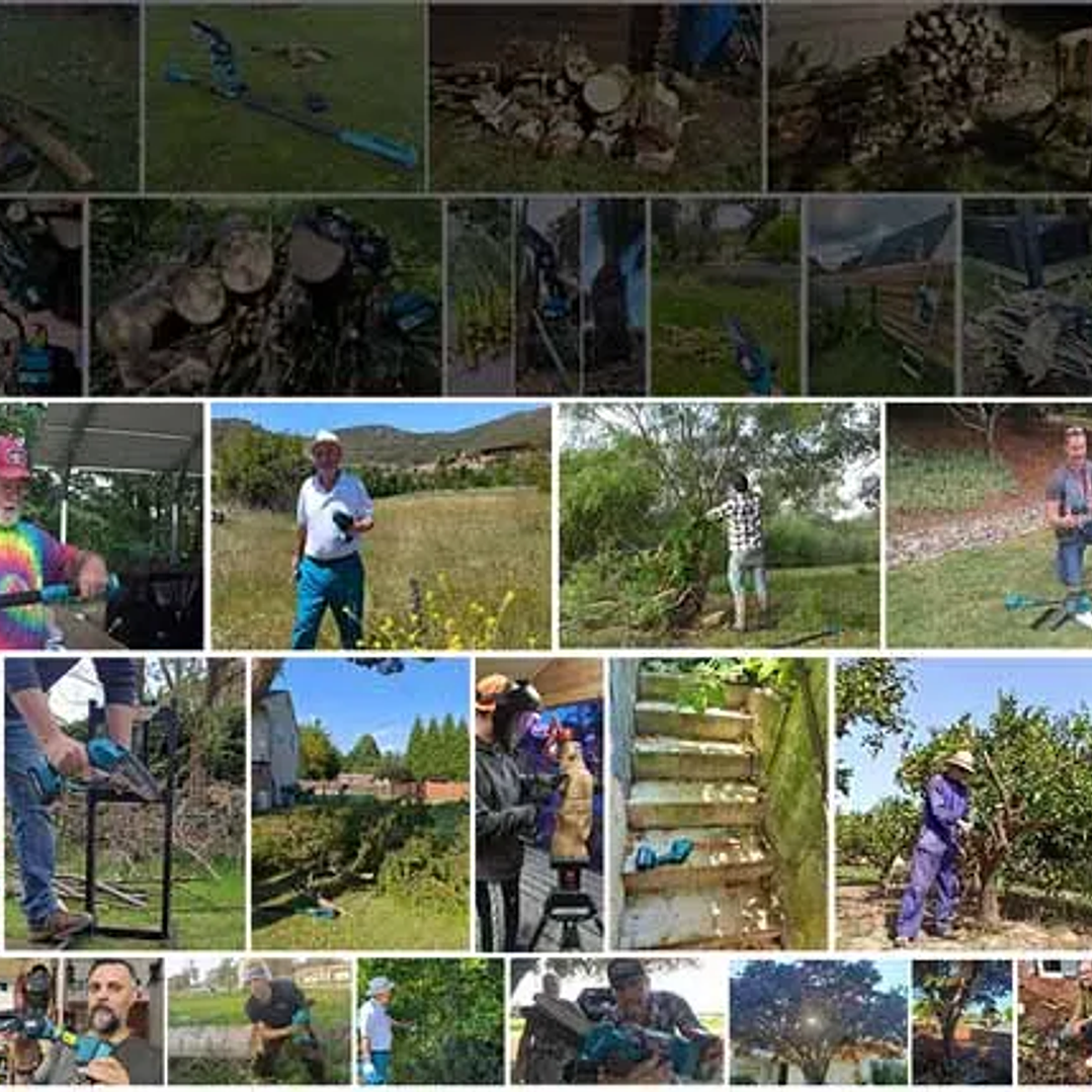 Mini Motosierra SEESII 6