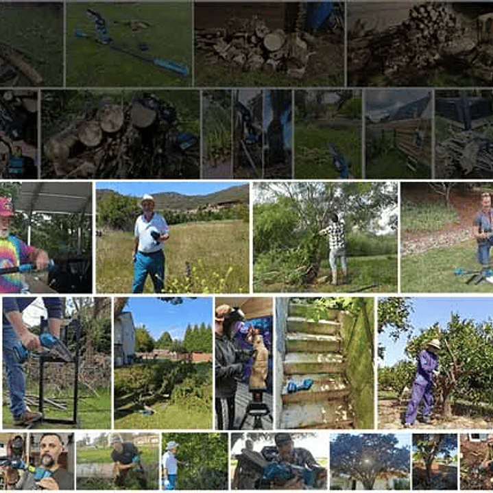 Mini Motosierra SEESII 6