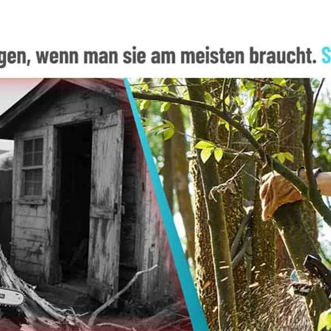 Mini Motosierra SEESII 6