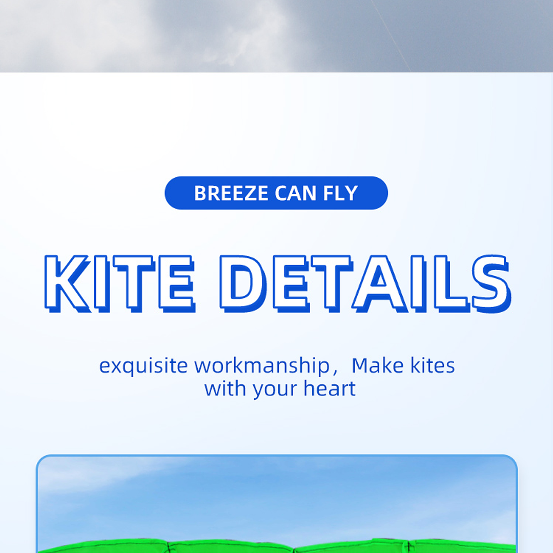 Cometa Acrobática Parafoil 2,5 m | Doble Línea, Nylon Ripstop, Vuelo Suave y Controlado 7