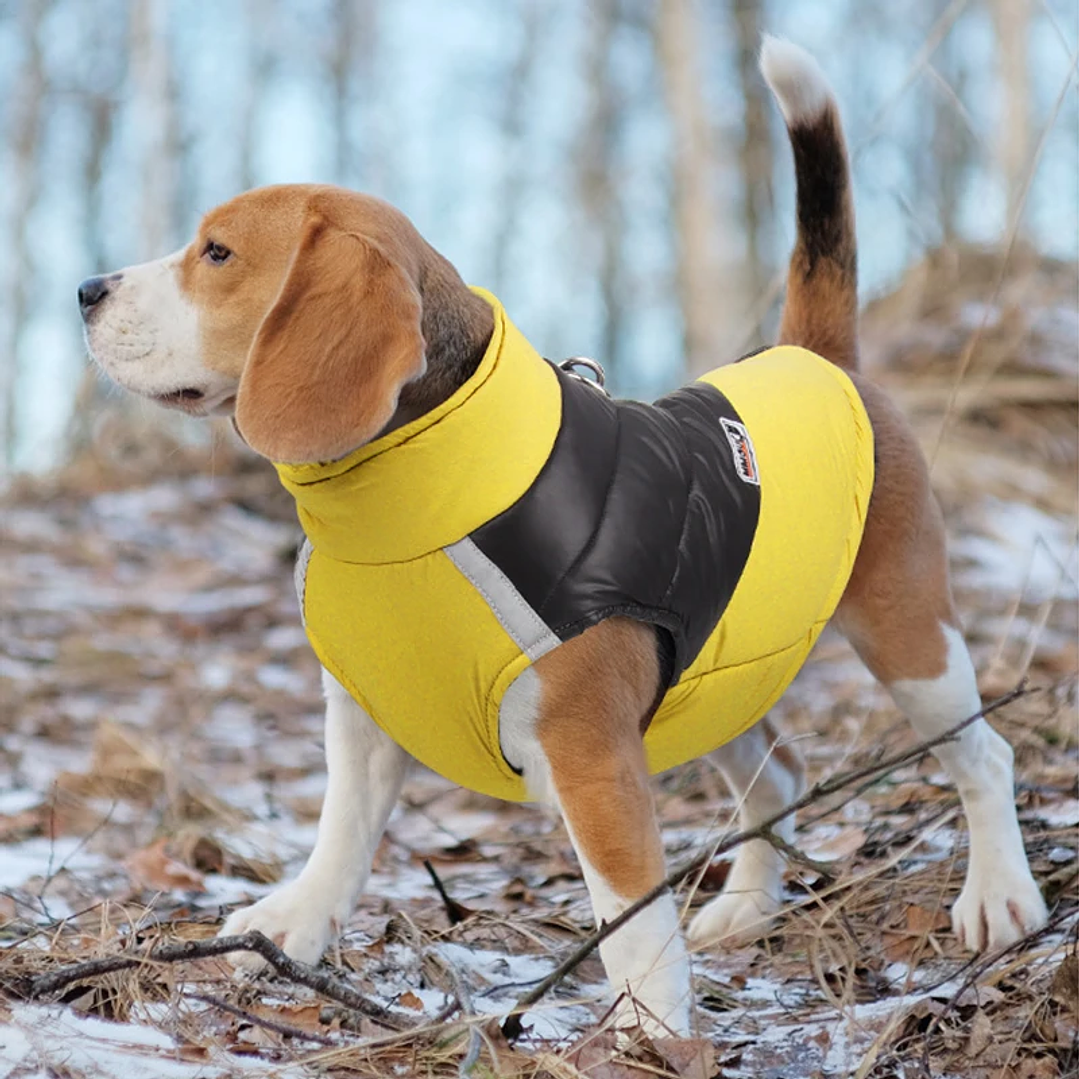 Chaleco Impermeable Acolchado para Perros | Abrigo de Invierno para Mascotas Pequeñas, Medianas y Grandes 19