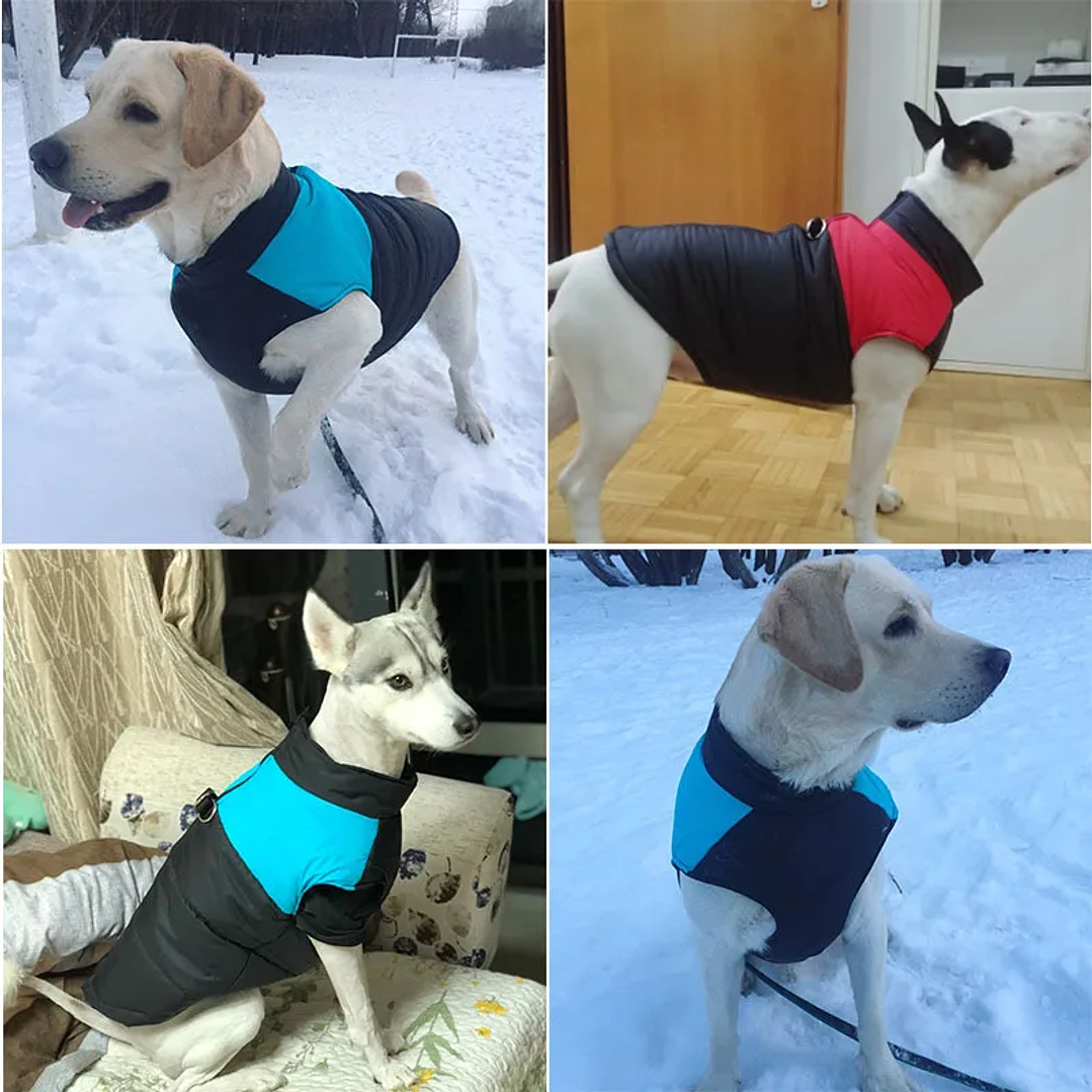 Chaleco Impermeable Acolchado para Perros | Abrigo de Invierno para Mascotas Pequeñas, Medianas y Grandes 21