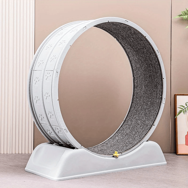 Rueda de Ejercicio para Gatos  Cinta de Correr Segura y Compacta con Mecanismo de Bloqueo 3