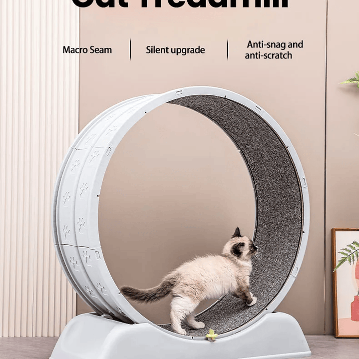 Rueda de Ejercicio para Gatos  Cinta de Correr Segura y Compacta con Mecanismo de Bloqueo 9