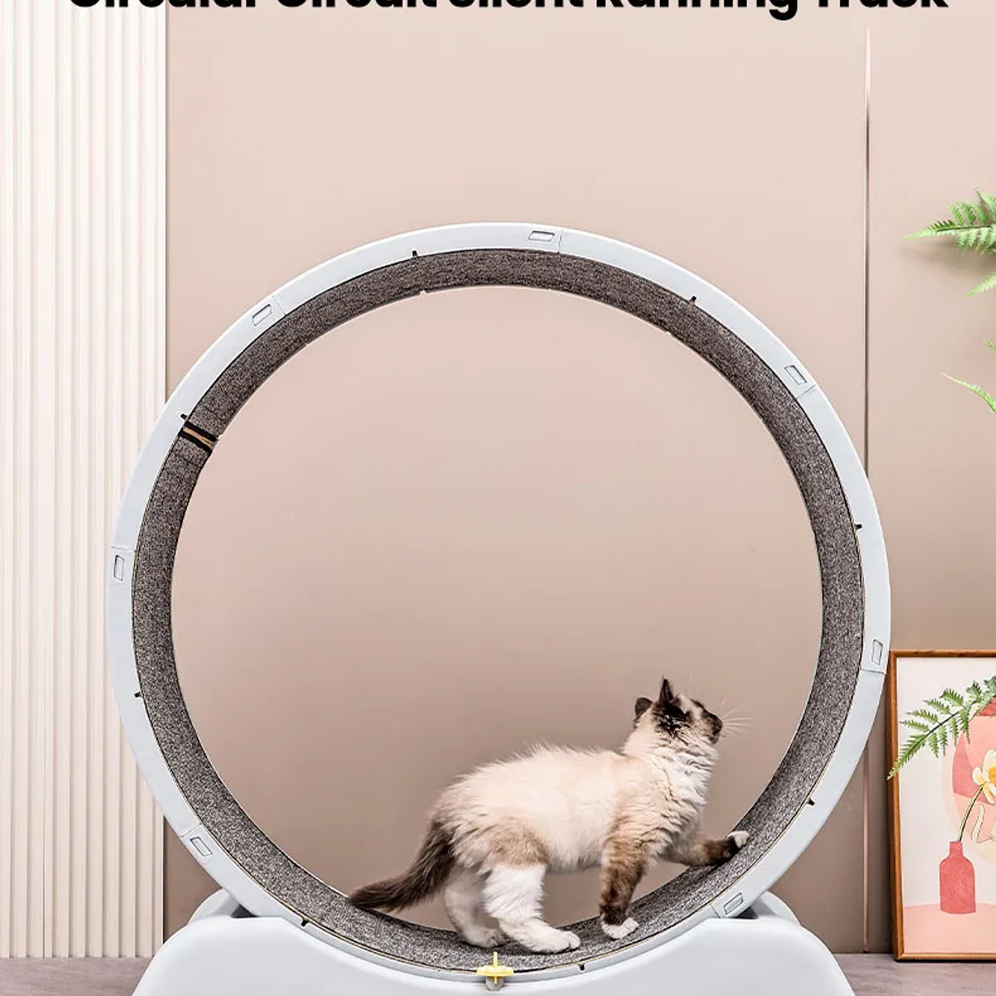 Rueda de Ejercicio para Gatos  Cinta de Correr Segura y Compacta con Mecanismo de Bloqueo 11