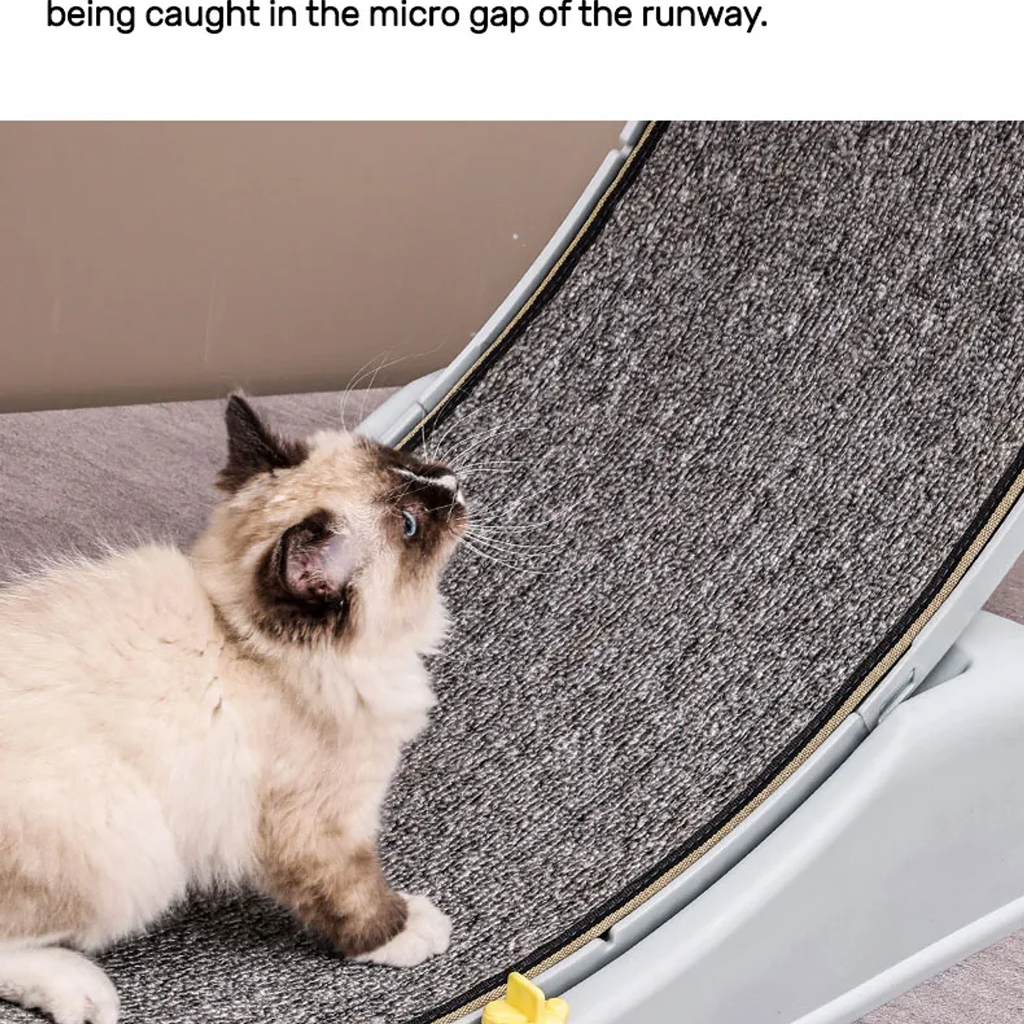 Rueda de Ejercicio para Gatos  Cinta de Correr Segura y Compacta con Mecanismo de Bloqueo 17