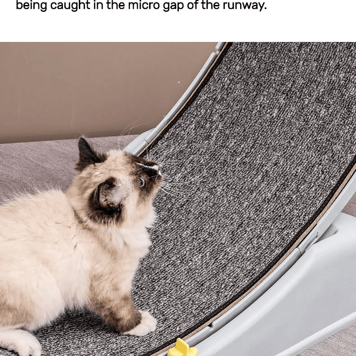 Rueda de Ejercicio para Gatos  Cinta de Correr Segura y Compacta con Mecanismo de Bloqueo 17