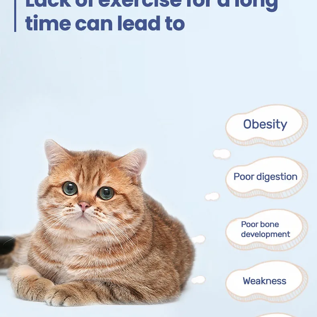 Rueda de Ejercicio para Gatos  Cinta de Correr Segura y Compacta con Mecanismo de Bloqueo 19