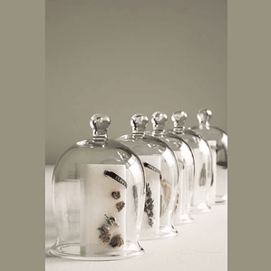 Cúpula de Vidrio para Decoración - Ideal para Velas y Objetos