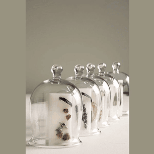 Cúpula de Vidrio para Decoración - Ideal para Velas y Objetos