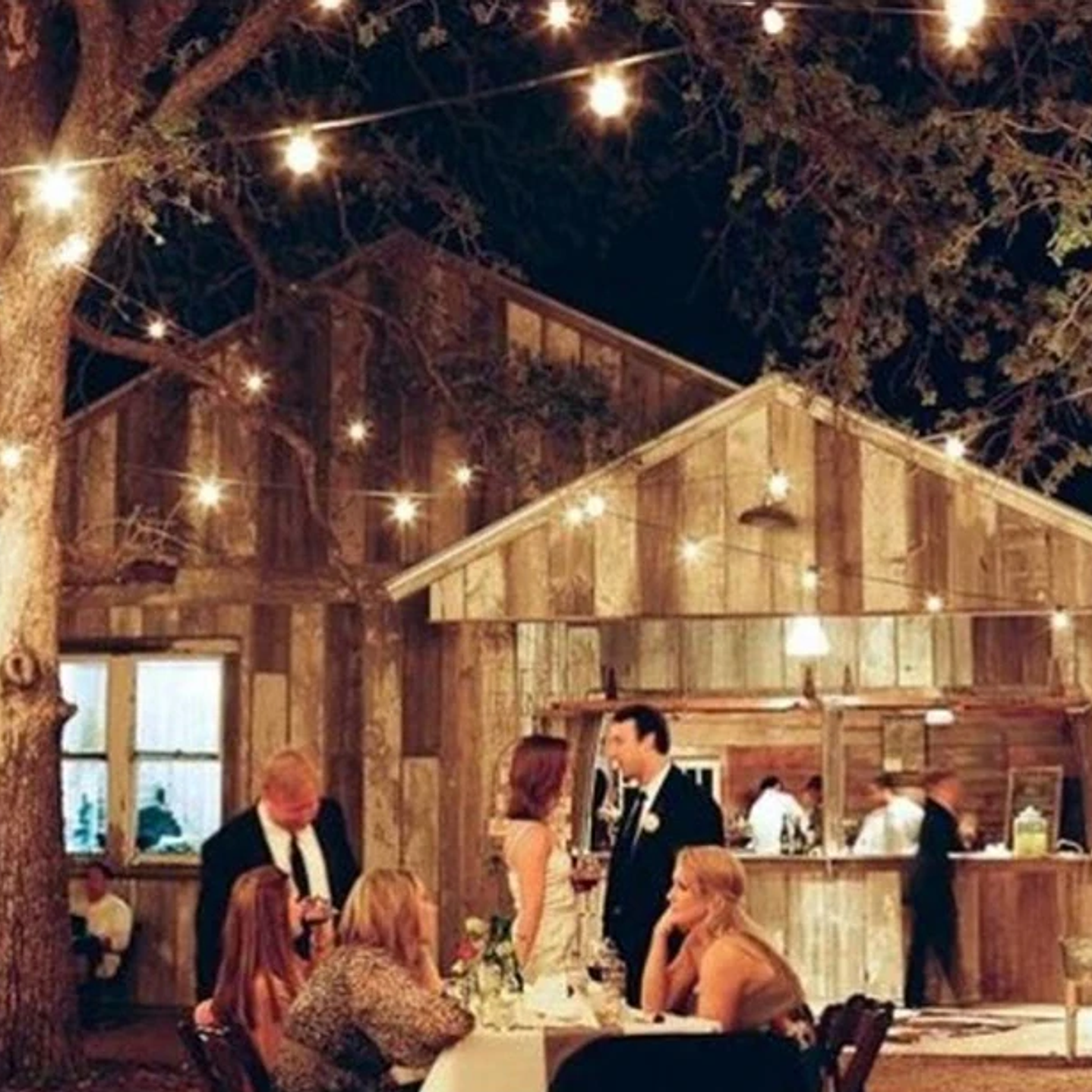 Guirnalda de Luces LED G50 - Impermeable Jardín y Terraza 8M/24M 12