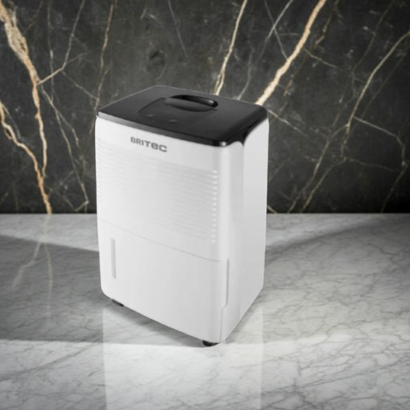 Deshumidificador Portátil Residencial Britec Petal 12 6