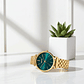Reloj Mujer Watx & Colors WXCA3027 Ø 38 mm – Caja Dorada, Esfera Verde, Pulsera No Incluida - Miniatura 5