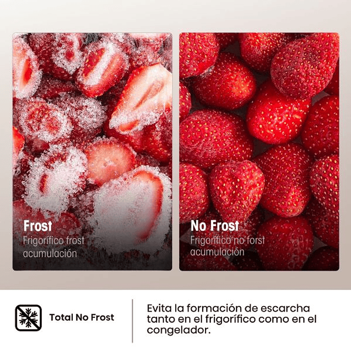 Frigorífico Combi Hisense RB390N4AWE – 304L No Frost con Motor Inverter 9