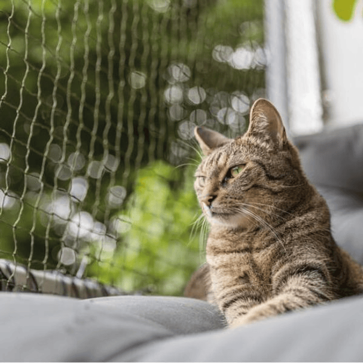 Red de Protección Trixie 4x3m - Adaptable y Fácil de Instalar para Balcones y Terrazas 2