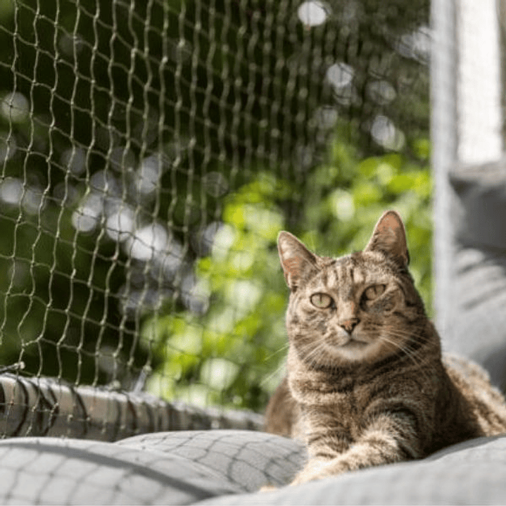 Red de Protección Trixie 4x3m - Adaptable y Fácil de Instalar para Balcones y Terrazas 3