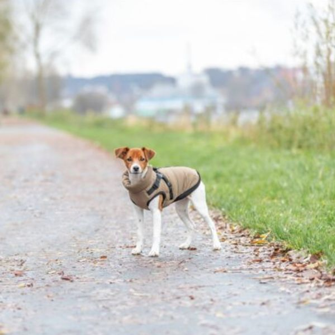 Abrigo para Perro Trixie Arena S - Diseño Ajustable y Fácil de Poner para Paseos Cómodos 2