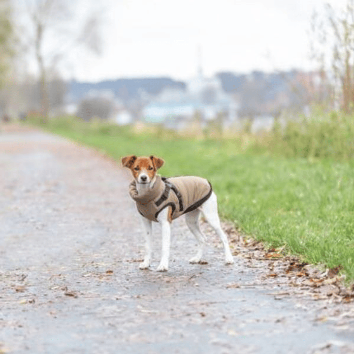 Abrigo para Perro Trixie Arena S - Diseño Ajustable y Fácil de Poner para Paseos Cómodos 2