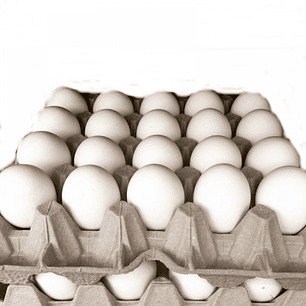 Huevos Jumbo - 100 unidades