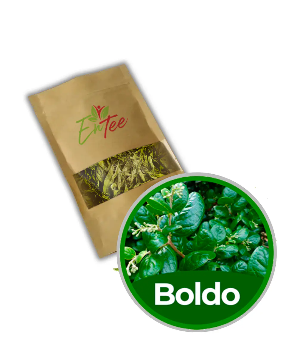 Boldo 1
