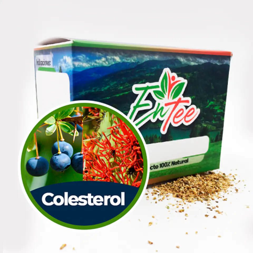 Entee Colesterol 1