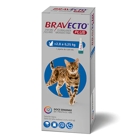 BRAVECTO PLUS GATO 250 MG 2,8 A 6,25 KG