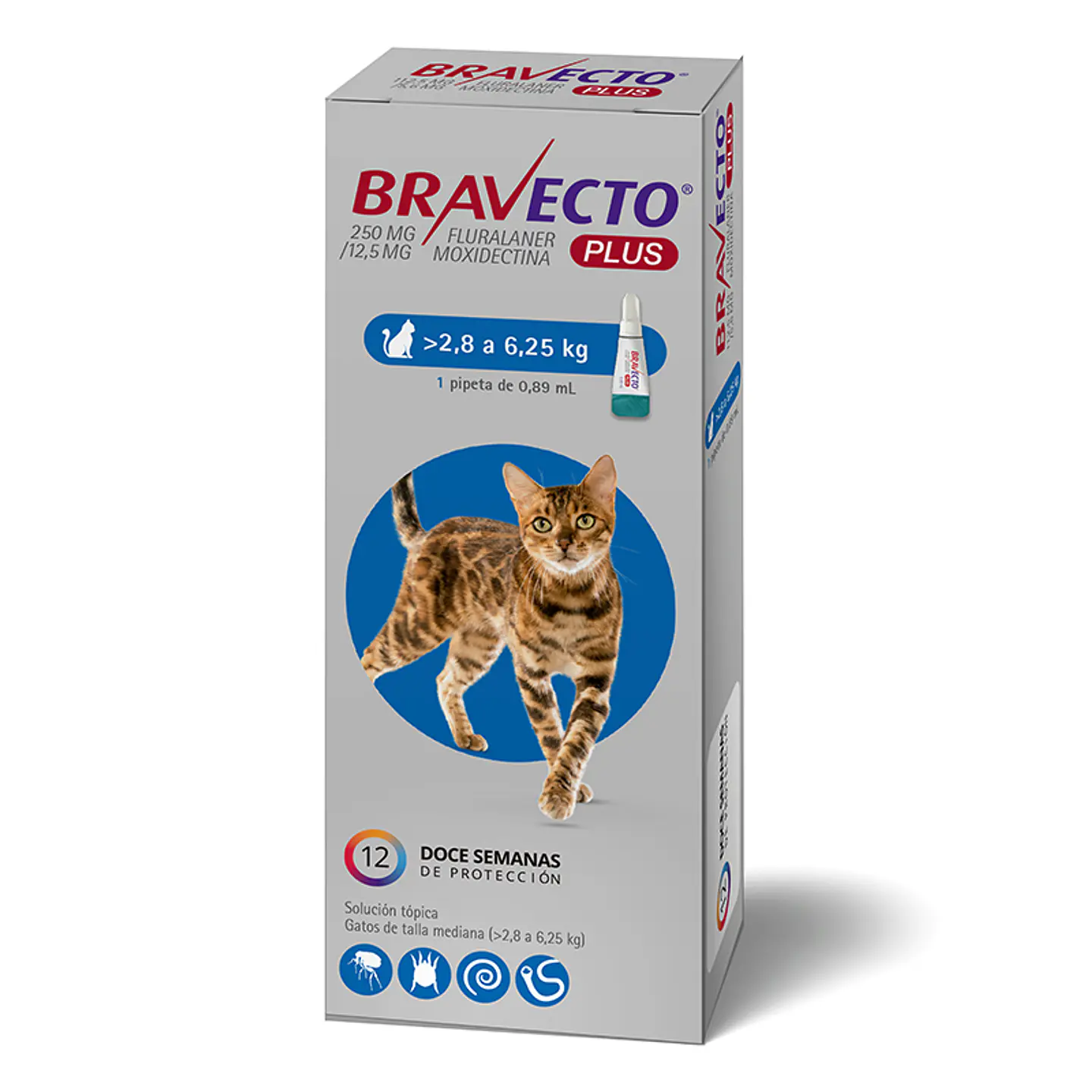 BRAVECTO PLUS GATO 250 MG 2,8 A 6,25 KG 1