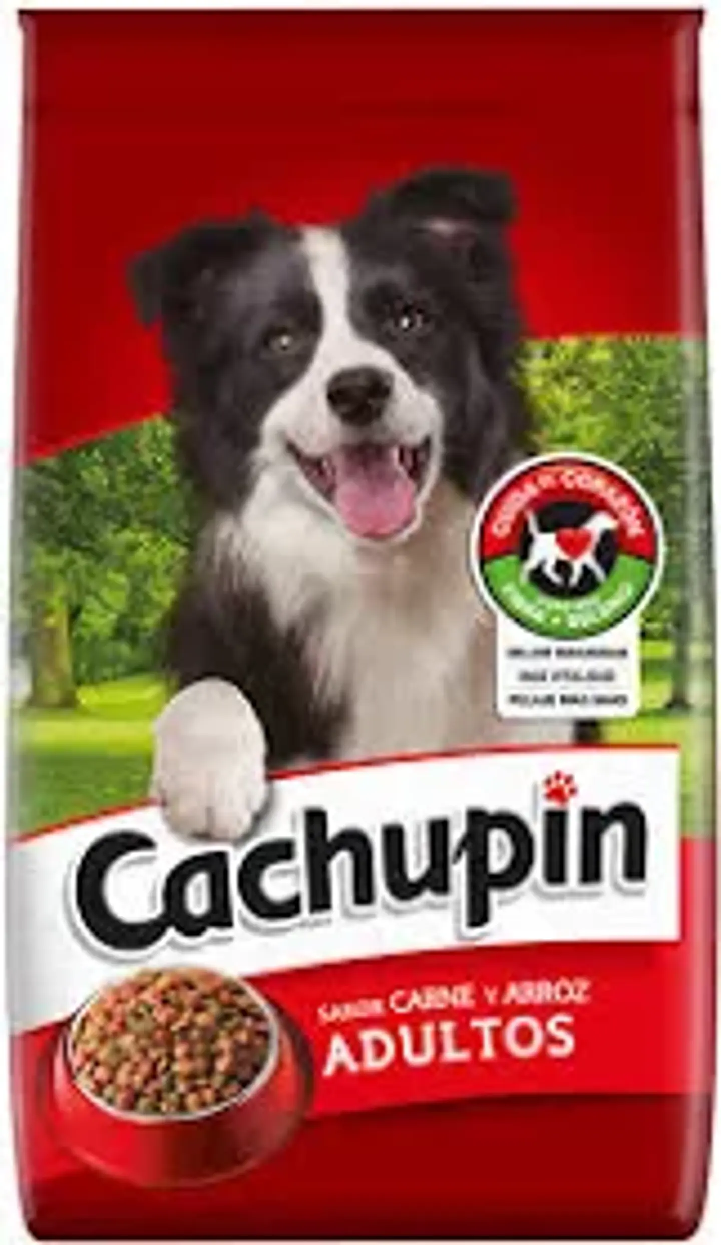 CACHUPIN ADULTO CARNE 9 KG 1