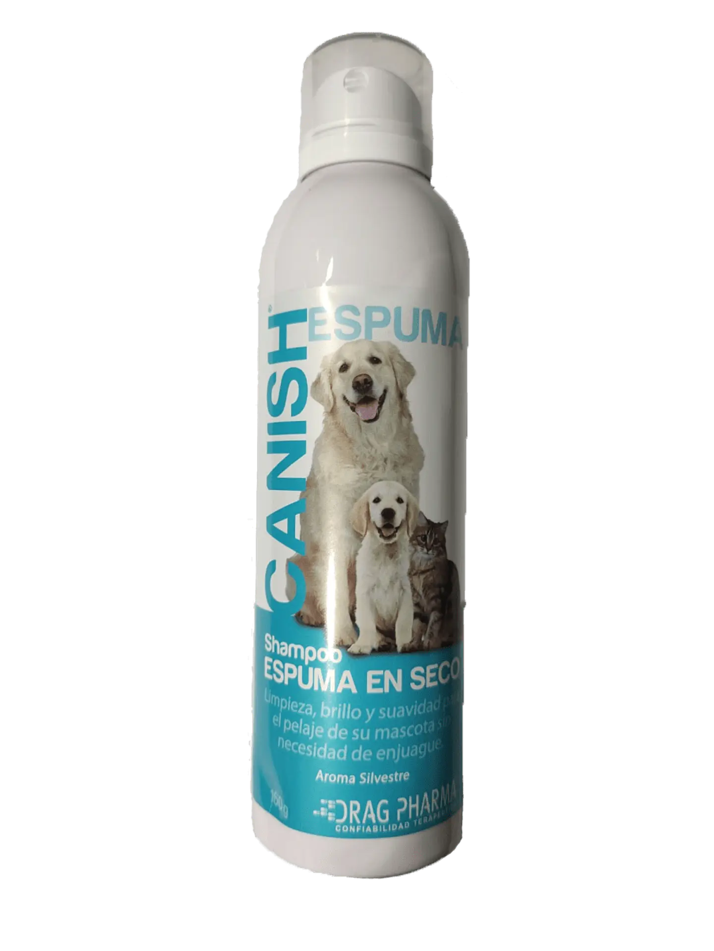 CANISH ESPUMA SECA 160 ML 1