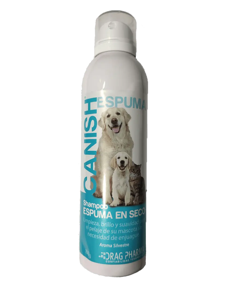 CANISH ESPUMA SECA 160 ML 1