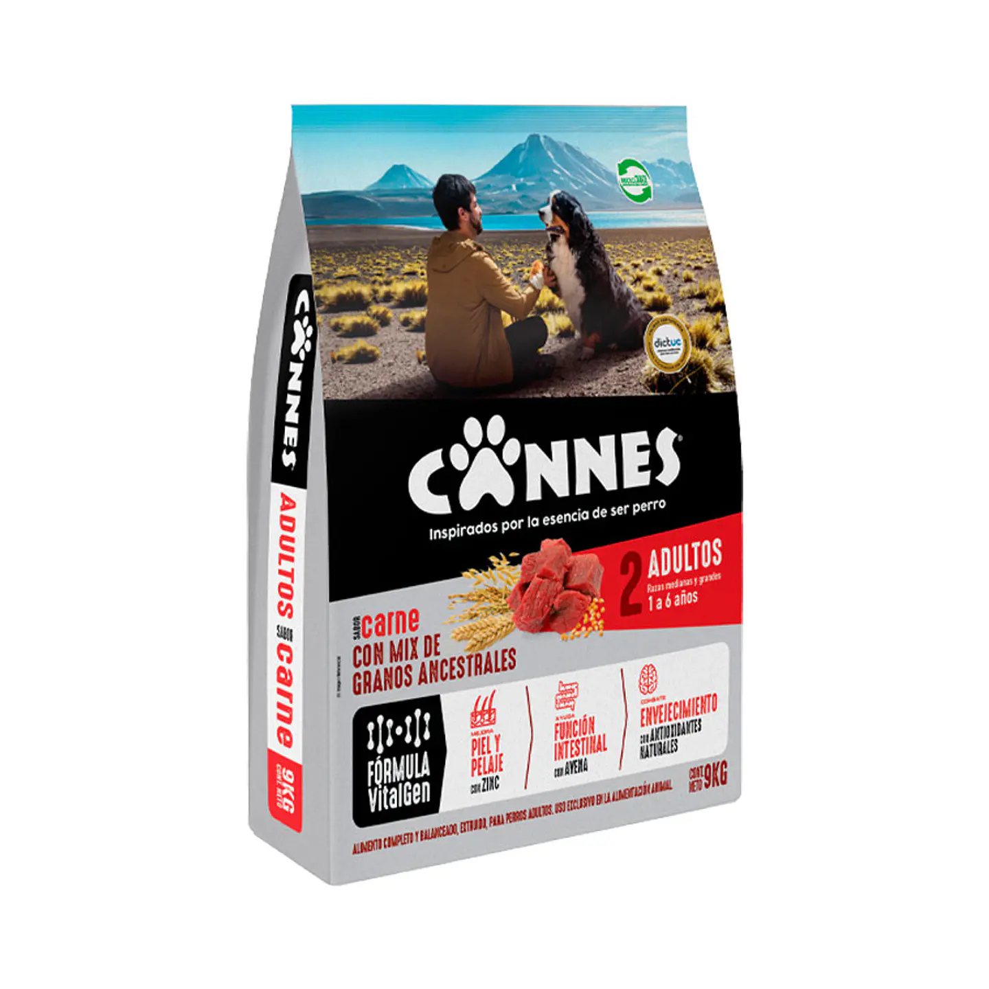 CANNES 18 KG 1