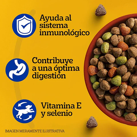 PEDIGREE ADULTO 21 KG