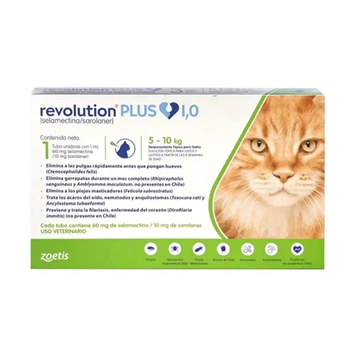 REVOLUTION PLUS 1 ML (5 A 10 KG) X 1P 1