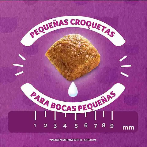 WHISKAS GATITO 10 KG