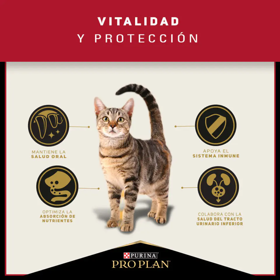 PRO PLAN CAT ADULTO 7,5 KG 4