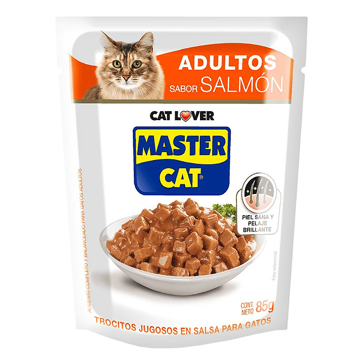 SACHET MASTER CAT 85 GR 4