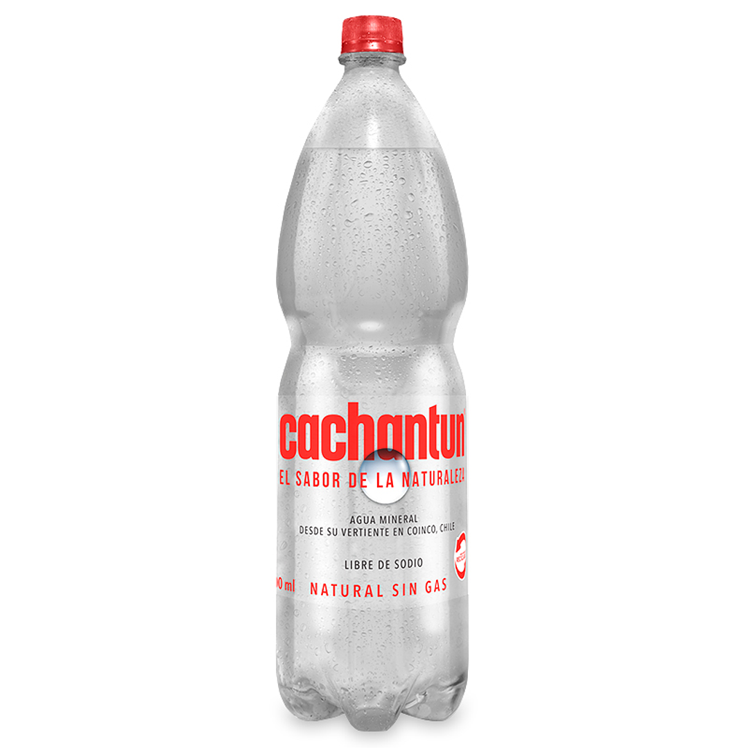 Agua Mineral Cachantun Con Gas, Sin Gas Botella 1,6 Lt 2