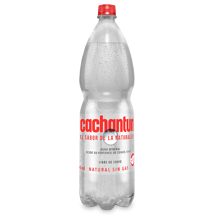 Agua Mineral Cachantun Con Gas, Sin Gas Botella 1,6 Lt 2
