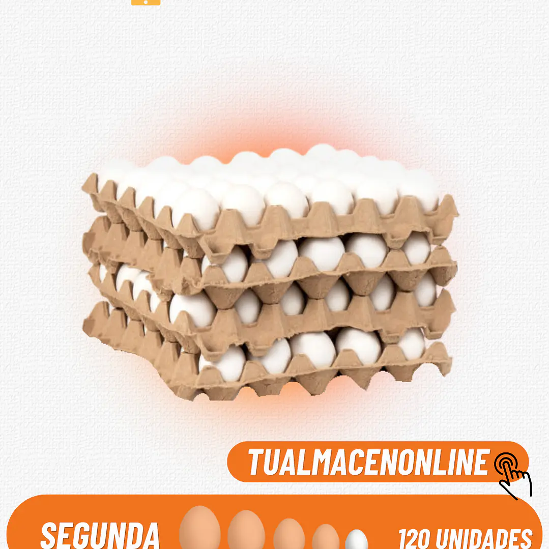 CAJA DE HUEVOS SEGUNDA BLANCO 120 UNIDADES 1