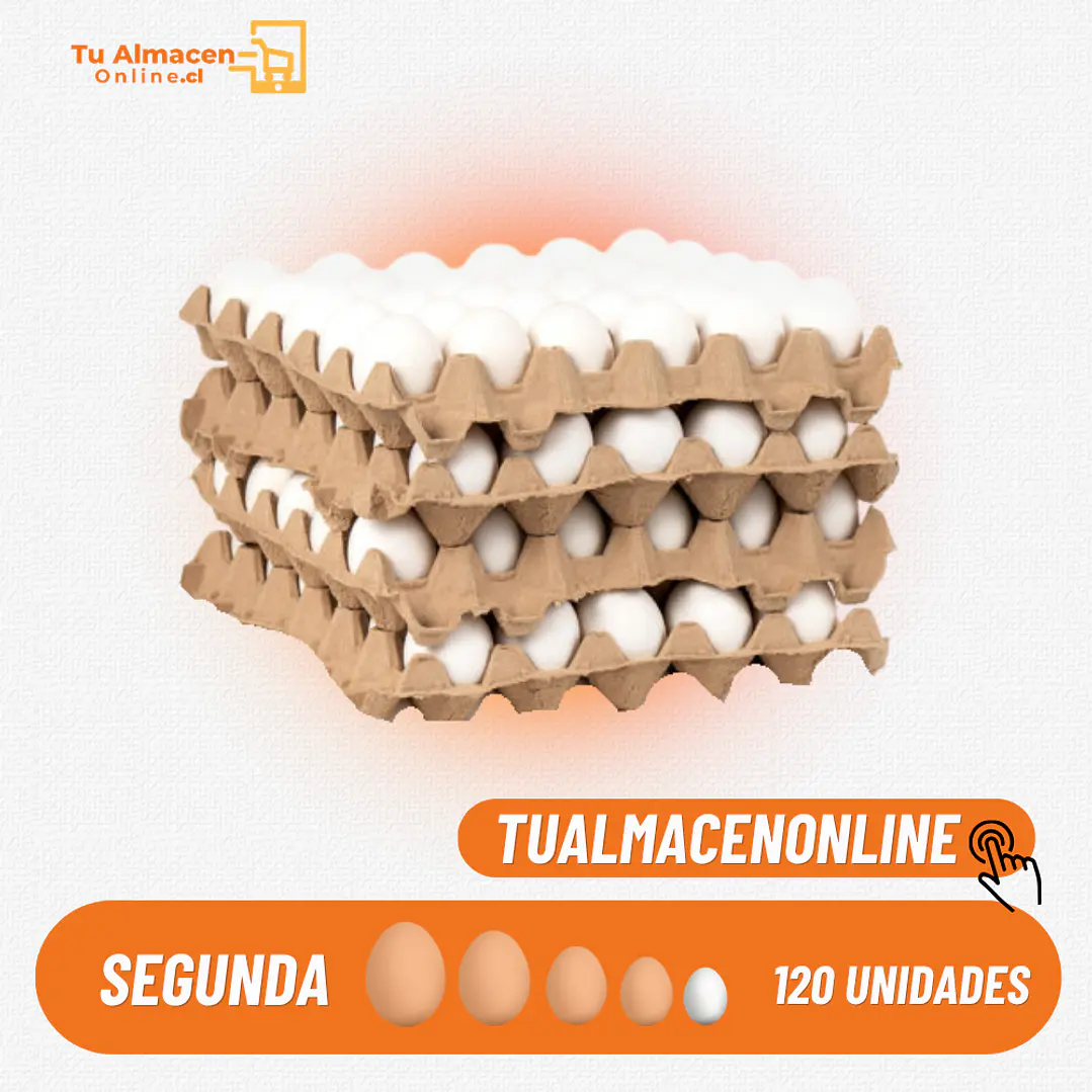 CAJA DE HUEVOS SEGUNDA BLANCO 120U 1