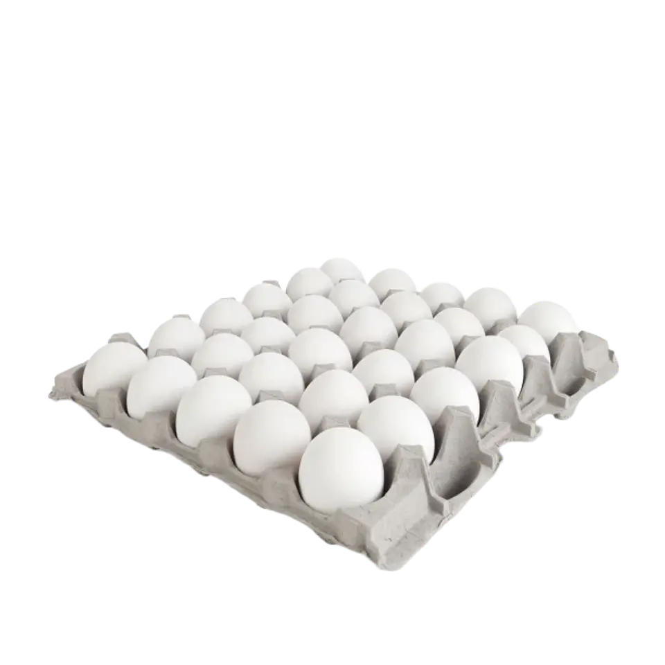 Bandeja Huevos Extra Blanco - 30 Unidades - Gallina Libre de Jaula 1
