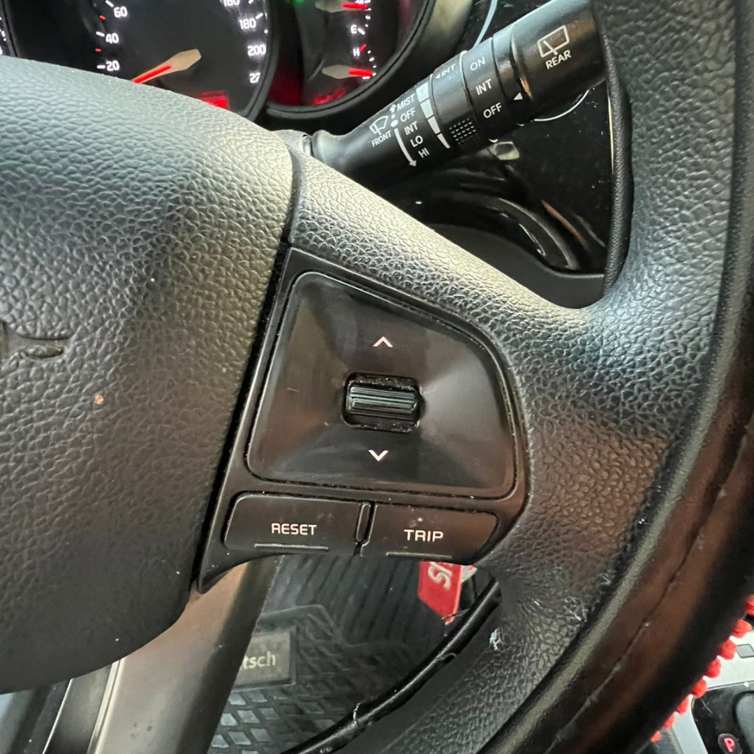 Rio 5 Ex - Año 2016 12