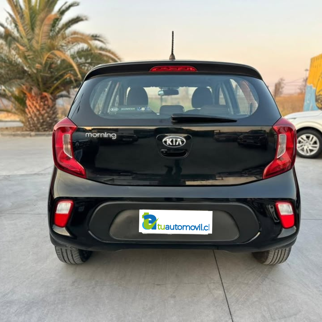 Morning - Año 2019 5