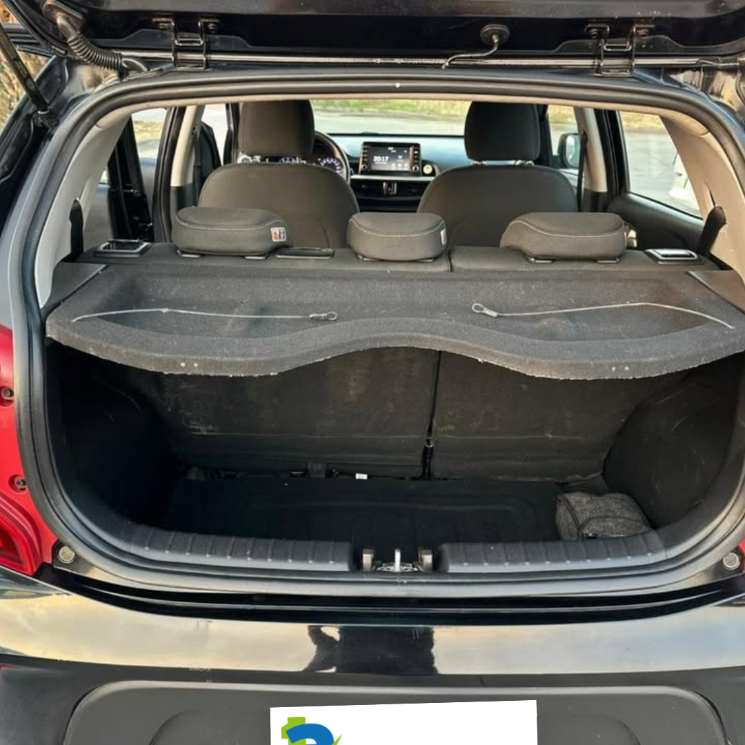 Morning - Año 2019 6