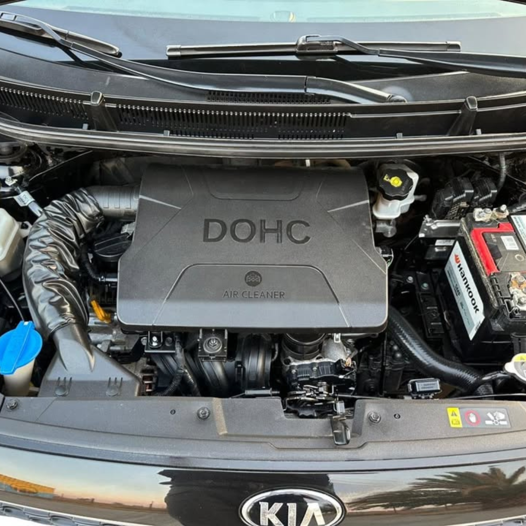 Morning - Año 2019 3