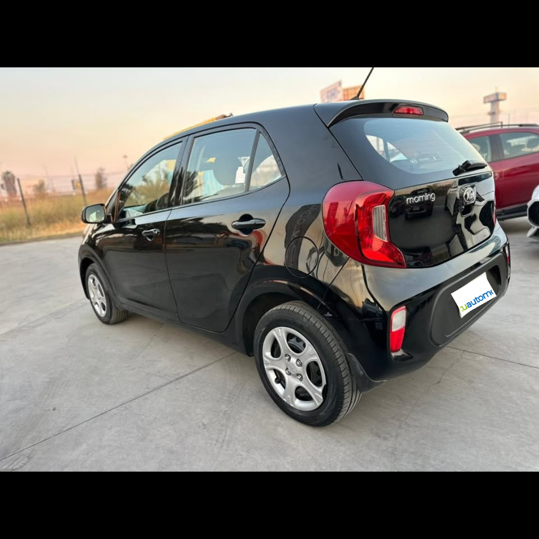 Morning - Año 2019 7