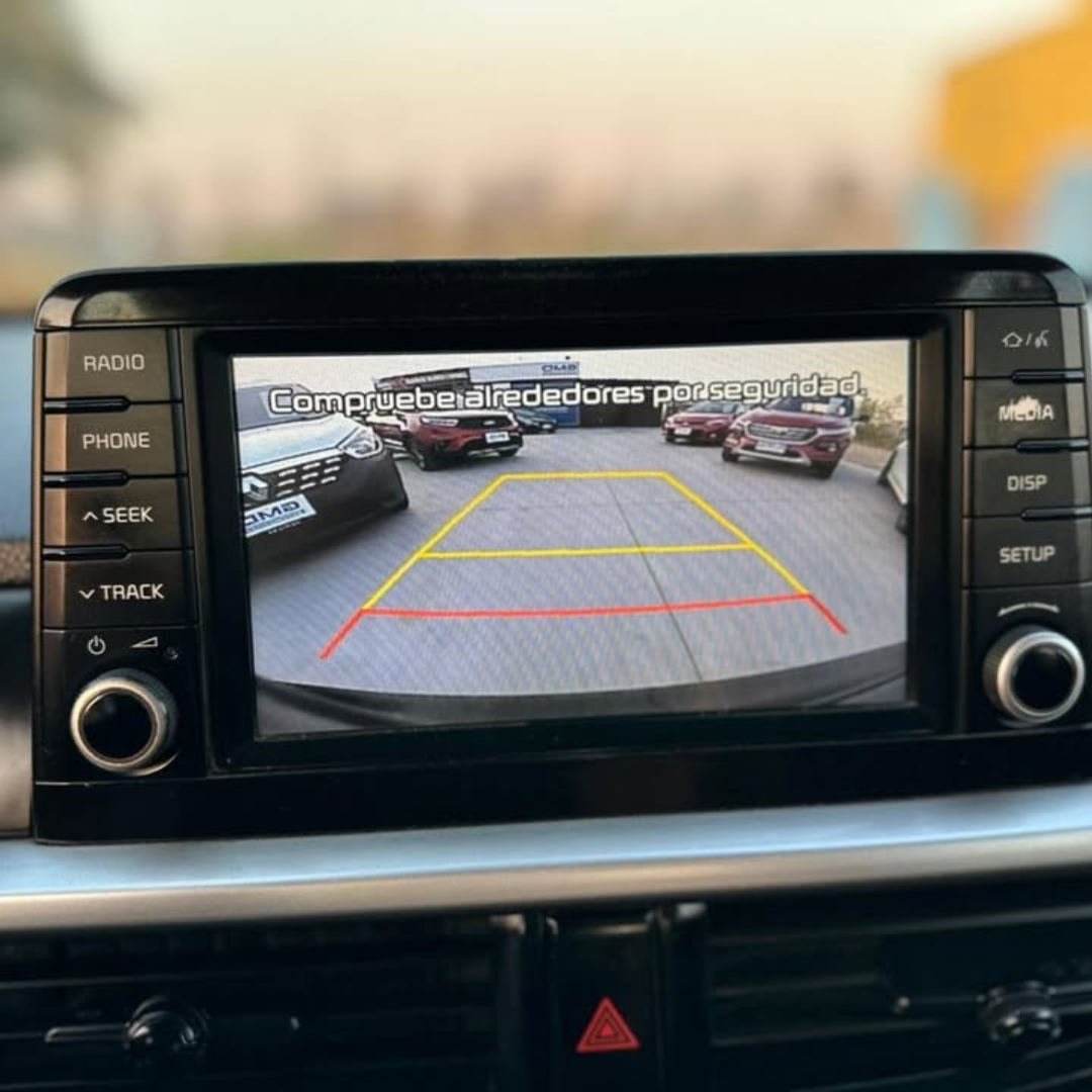 Morning - Año 2019 14