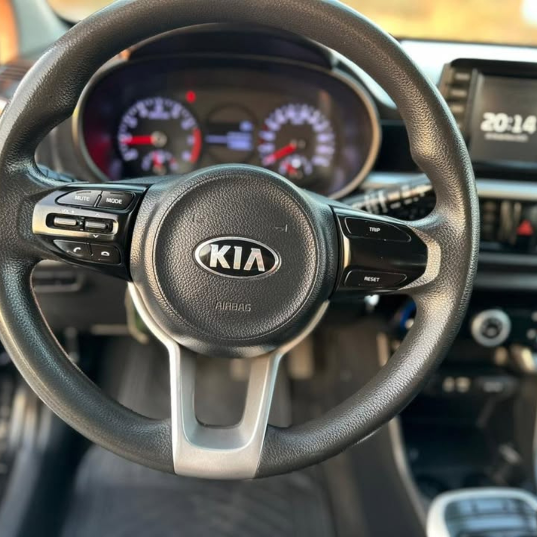 Morning - Año 2019 11