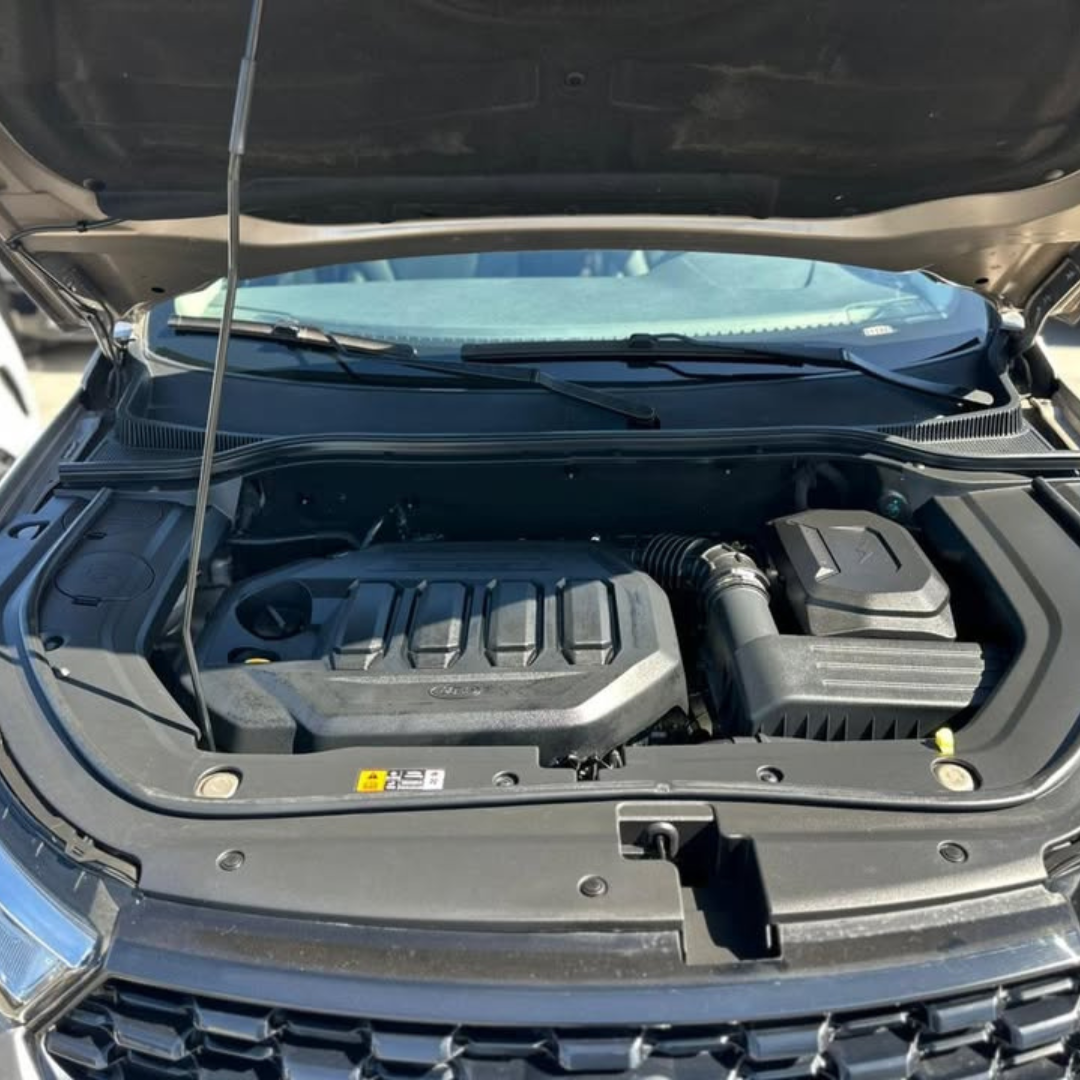 Territory - Año 2023 3